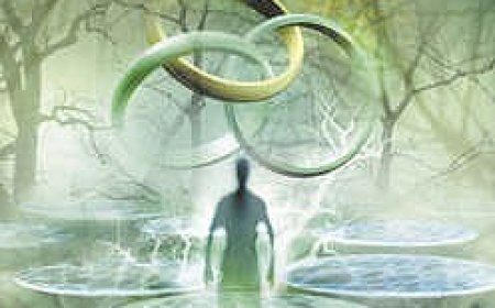 PDF Download The Chronicles of Narnia (Publication Order) #6 The Magician's Nephew by C.S. Lewis