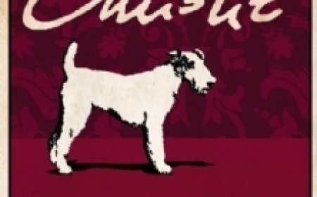 PDF Download Hercule Poirot #17 Dumb Witness by Agatha Christie