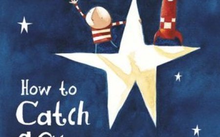 Free Download The Boy #1 How to Catch a Star by Oliver Jeffers