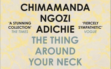 Free Download The Thing Around Your Neck by Chimamanda Ngozi Adichie