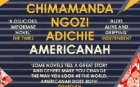 Free Download Americanah by Chimamanda Ngozi Adichie