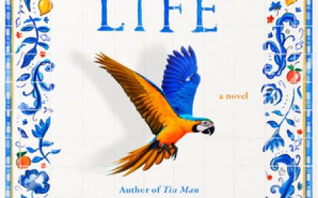 Free Download Still Life by Sarah Winman