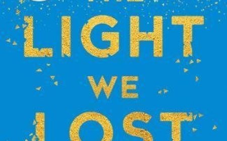 Free Download The Light We Lost by Jill Santopolo